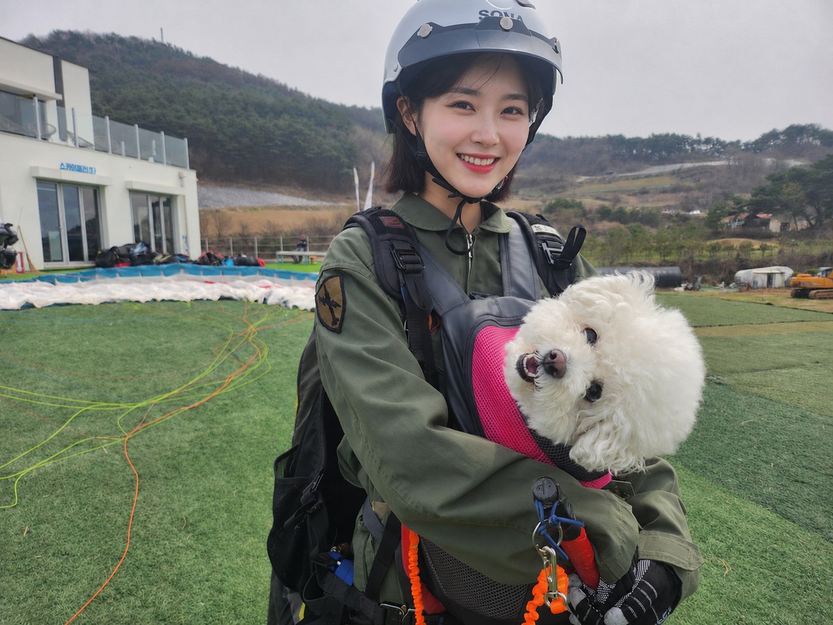 애견동반비행